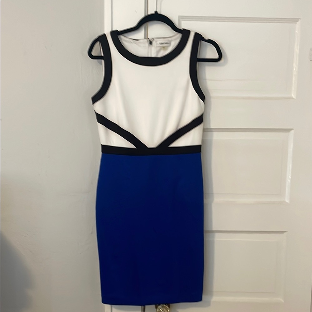 Elegant Blue and White Sleeveless Dress